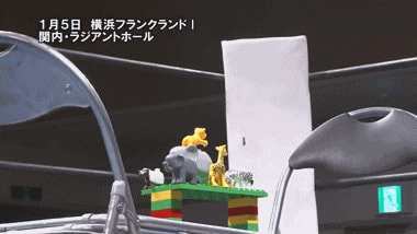 dorsalvania: twitchandmoan: Risa Sera, Yuko Miyamoto, Minoru Fujita, and Akane Fujita. deathmatch wr