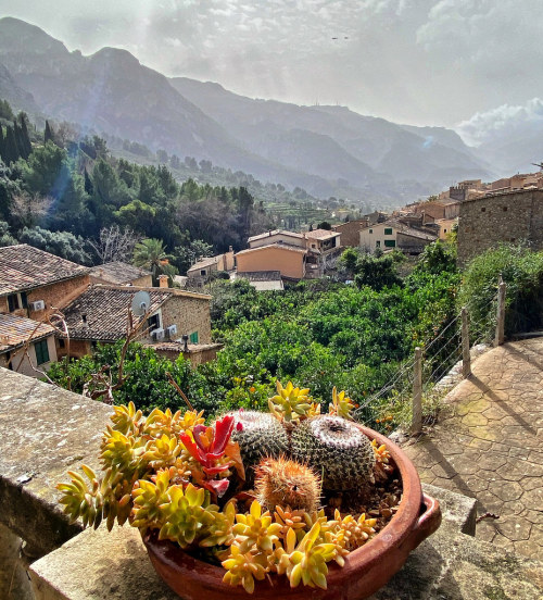 allthingseurope:  Fornalutx, Spain (by parafernalia123)