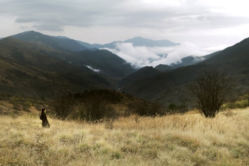 ohmalucko:she is one of a kind, out there, alone. 刺客聶隱娘 The Assassin (2015)