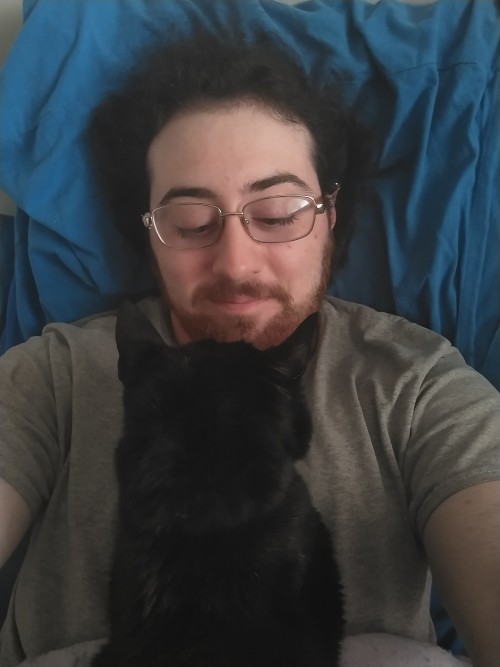 Help Me Save My Cat!