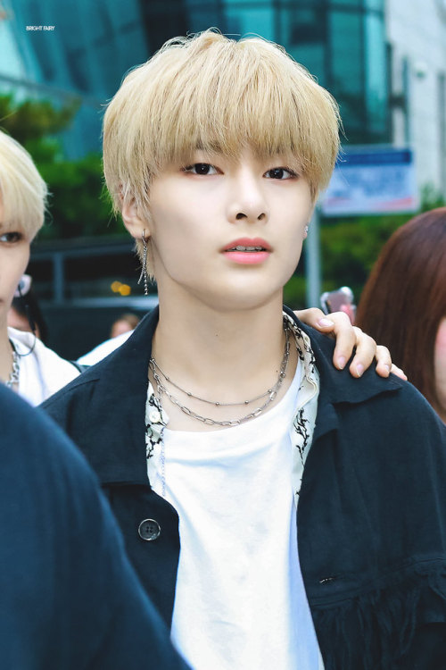 © BRIGHT FAIRY 🧚‍♂️ 🗝 [1, 2] please do not edit... : Stray Kids Update