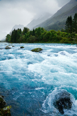 th4ts-r4d:  Nature blog ▲ 