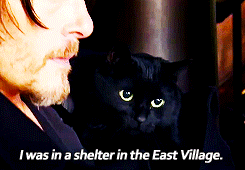 nonormynolife:  [x] 