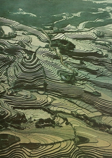 vintagenatgeographic:  Swirling contours of terraced paddies wrinkle the face of