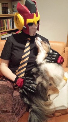 blackggggum:  sveene:  chaozrael:  So I stole my friend Marias puppy Dini and did this. Nailed it! I can´t wait to finish the whole armor and do this again :) Also I burned my finger and got some blisters making those gloves. I glued them directly onto