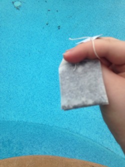 cocoa-bun: small-queer-child:  cocoa-bun:  Freedom  fuck this. i was so fuckin confused. i thought that this was some aesthetic shit. putting fukcin tea in a pool with a caption that said freedom. this is bullshit. stop. s top.  happy 4th of july m8 