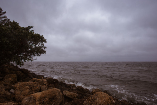 Florida Winter, 2018 2/365