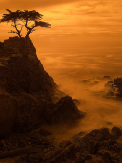 coiour-my-world:  Monterey CA. | by sjbvrsn 
