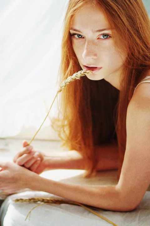 Vixen's Redheads