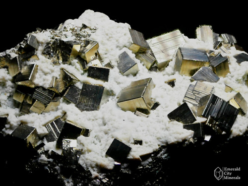 emeraldcityminerals: Brass colored striated cubes of pyrite (FeS2) stuck in a matrix of quartz. From