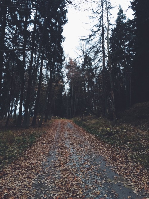 tuggiie:  Dear nature, I love you