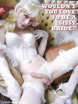 gotit4u:  Looking for My sissy bride! Are