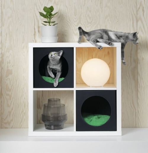 mymodernmet: IKEA Unveils New Pet Furniture Collection Designed in Partnership with Veterinarians