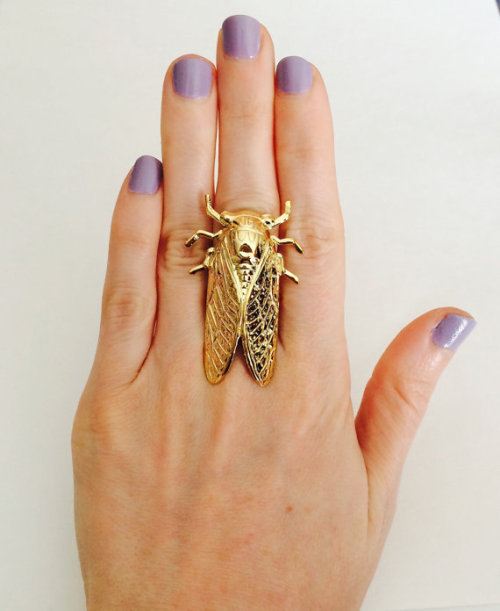 wickedclothes: Gigantic Cicada Ring A cicada that won’t be quite as loud and annoying, but wil