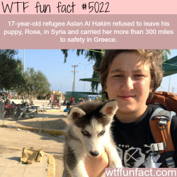 wtf-fun-factss:  Aslan Al Hakim, a Syrian refugee that carried his dog for 300 miles - WTF fun facts