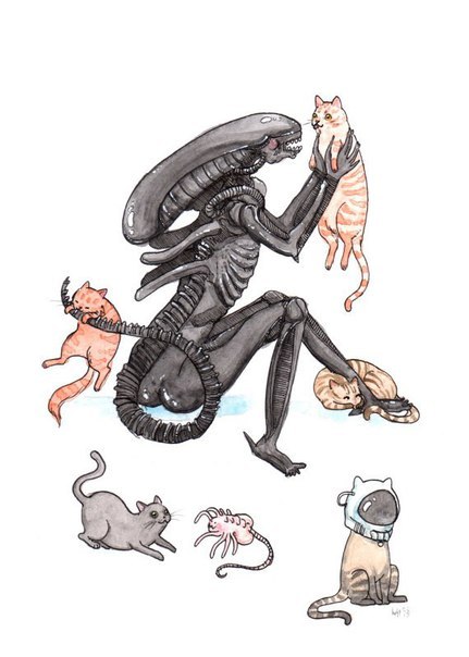 the-real-eye-to-see:  By kAt Philbin   