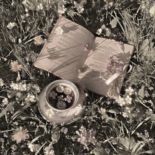 Billie Eilish Fairy - Aesthetic Credit If Used