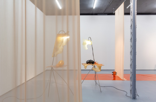 Pakui Hardware, Thrivers, solo show at Polansky Gallery, Prague, 2019www.pakuihardware.org/in
