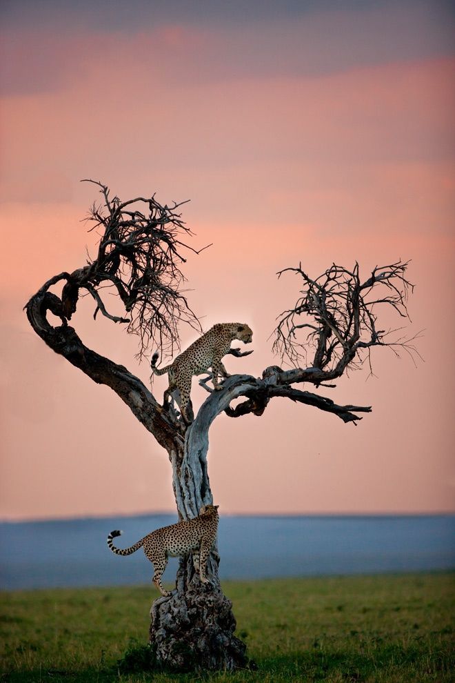 Photography Inspiration and Tips