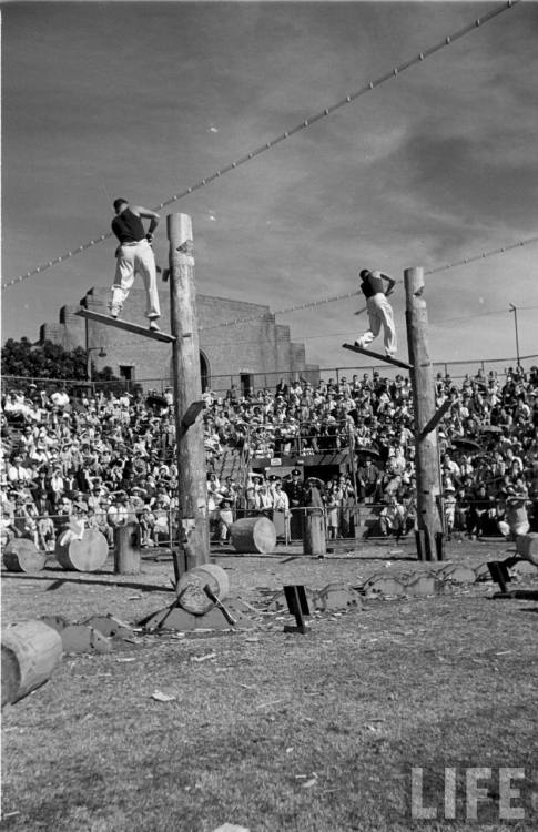 The Woodchop at the Royal Easter Show(Fritz Goro. 1951)