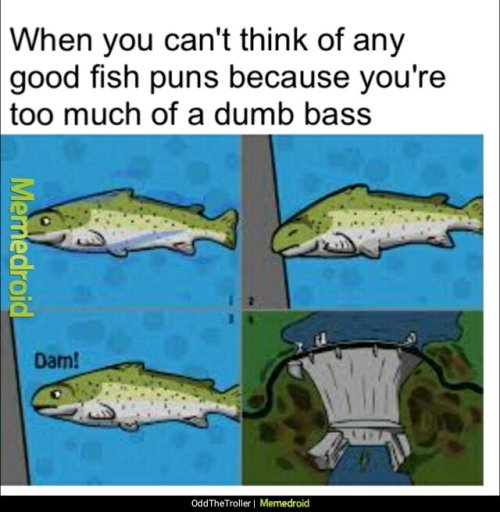 It’s a damn fish joke.