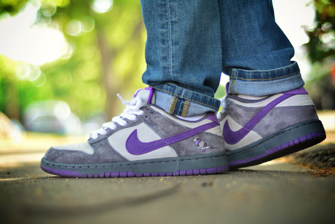 nike sb dunk purple pigeon