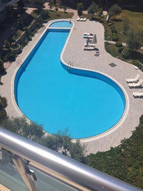 lolfactory:  Pool designer was a real dick  tumblr pictures ☆ Facebook ☆ Twitter