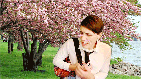 jayceethenerd:  - *flips hair* Hey, wanna go on a date?- Onii-chan, I don’t ever
