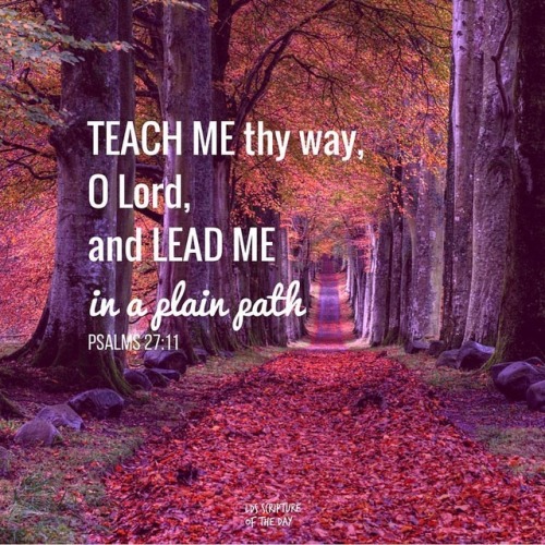 Teach me thy way, O Lord, and lead me in a plain path&hellip;⠀ Psalms 27:11⠀ .⠀ Link in bio