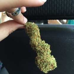 peacefulillusion:  weed momma got that blue dream