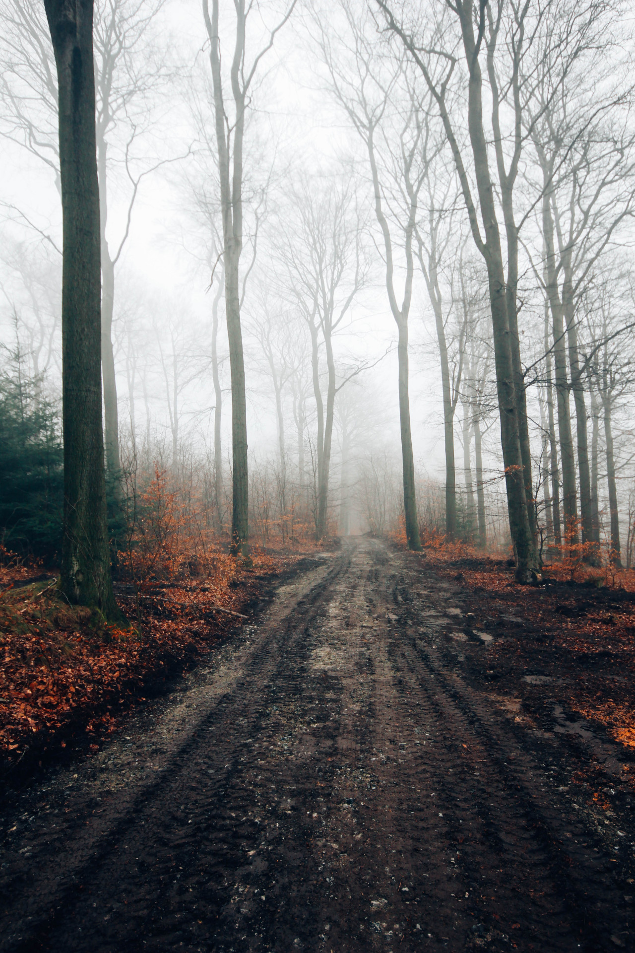 olli-dressler:  Photographer