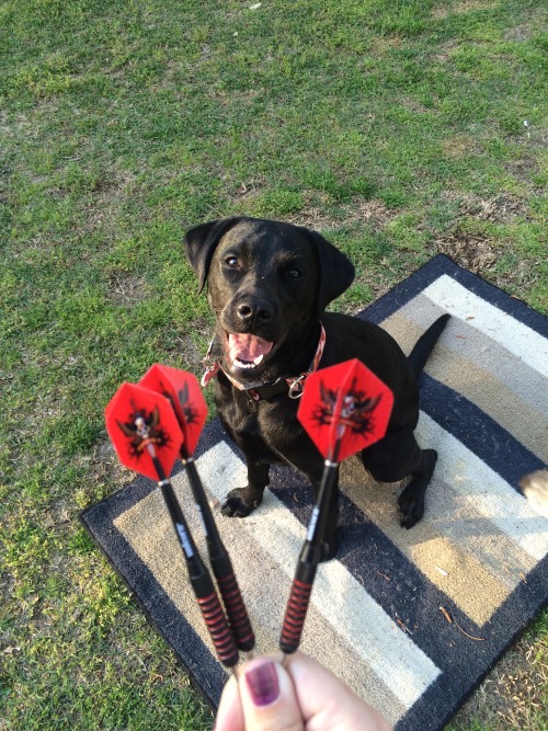 “I would like to eat dose pwees, tanks!”