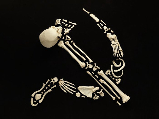 elevenacres:  Francois Robert spent hundreds of hours to create this artwork. He