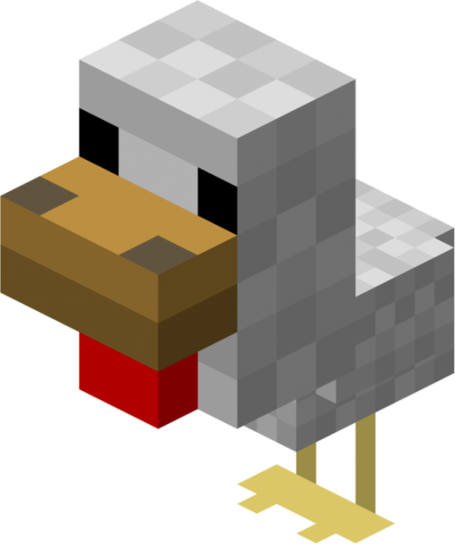 Baby Chicken