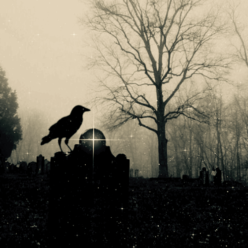 Spooky Darkness