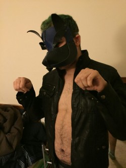 bimasterdax:My playful pup wearing my leather