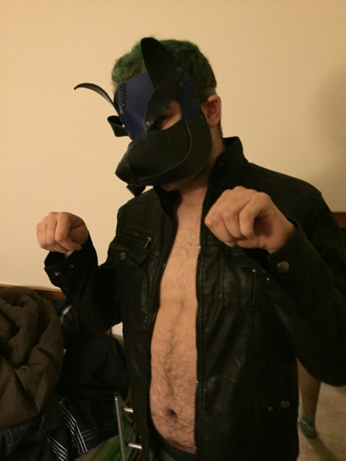 Sex bimasterdax:My playful pup wearing my leather pictures
