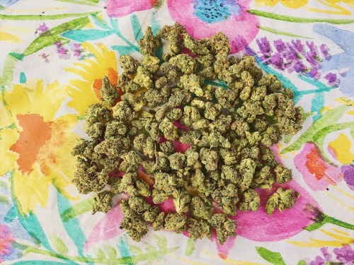 hippiehillie:  I love weed 💚