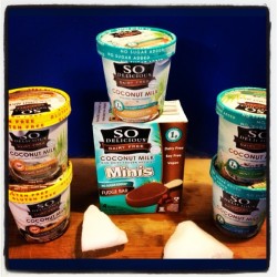 theveganzombie:  New #vegan ice cream flavors from @So_Delicious .. Cookie dough, cookies n cream, butter pecan, mint chip, vanilla bean and FUDGE BARS! #icecream #coconutmilk #whatveganseat #veganfoodshare #veganfoodporn #dessert #govegan #theveganzombie