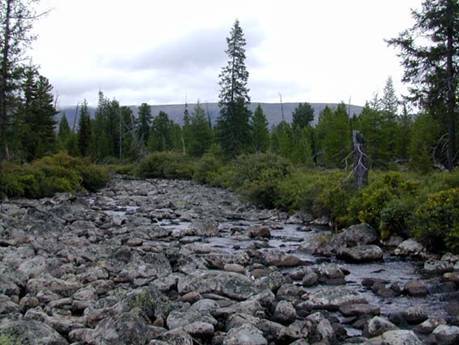 Sokhondo Nature Reserve (Siberia, Russia).Established in 1973, this was the first ecological reserve