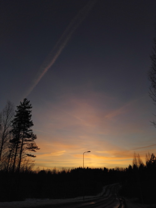 Evening sky ©missbryophyte