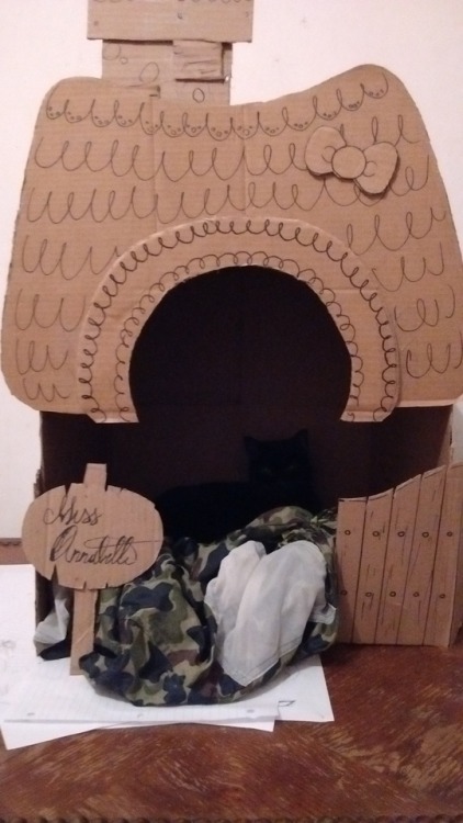 togedreams:My cat was in her box and I had the idea of turning it into a villager house