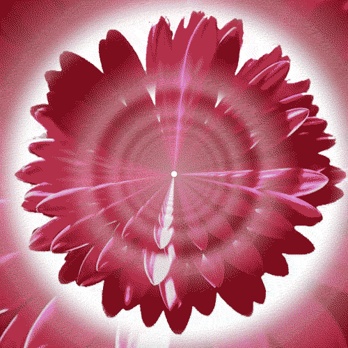 Rose Void