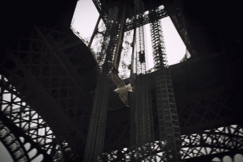 Tour Eiffel - París, 2013