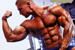 Best Bodybuilding Pics