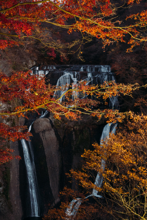 瀧の紅葉 2010年、袋田の滝。 竜神峡のあとに訪れた袋田の滝。そのため、ちょっと時間が遅く、すぐに陽が暮れてきた。しょうがないから帰ろうと思うと、ライトアップがスタート。とても嬉しくて長居してしまい、駅へのバスを逃したのはいい思い出w。