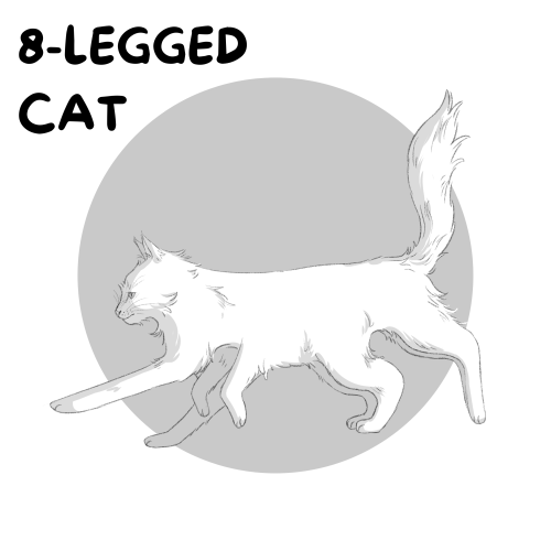 8-legged cat for day 8 of botober!!