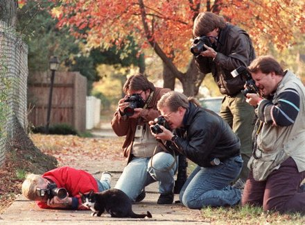 bedeliadumaurier:  noamchimpsky:  bedeliadumaurier:  i hope the clintons get a cat