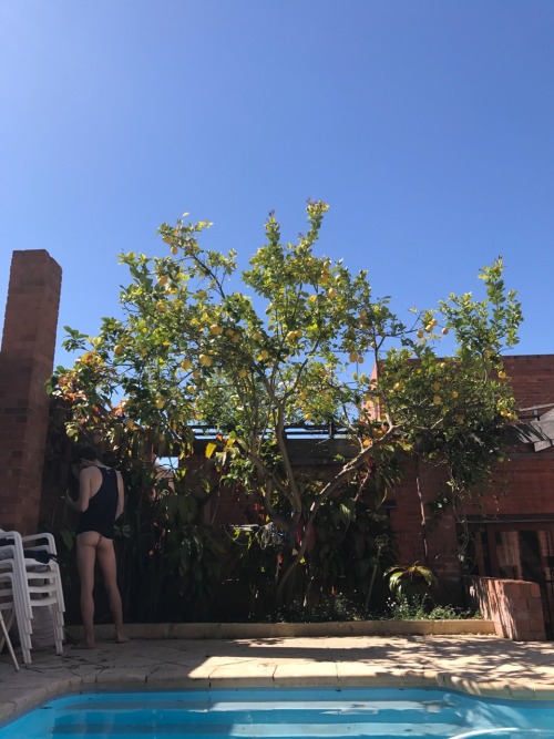 uffdahcocks: Beautiful day in WA