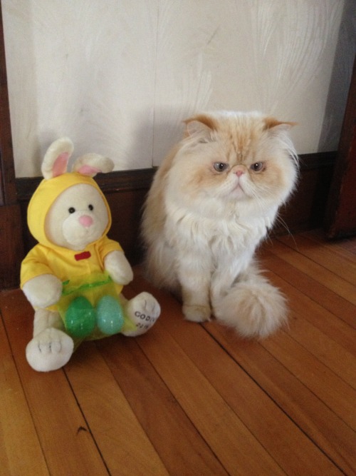 lucifurfluffypants:Fine. I’ll sit by the damn rabbit.lucifurfluffypants.tumblr.comhttps